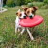 Dog Frisbee Toy Safe for Teeth Outdoor Floating Flying Disk for Small Medium and Large Breed Dogs Lightweight Dog Catch and Fetch Toy Outside Dog Yard