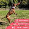 Dog Frisbee Toy Safe for Teeth Outdoor Floating Flying Disk for Small Medium and Large Breed Dogs Lightweight Dog Catch and Fetch Toy Outside Dog Yard
